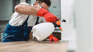 Best Pest Control for Multi-Family Homes  in Negaunee, MI